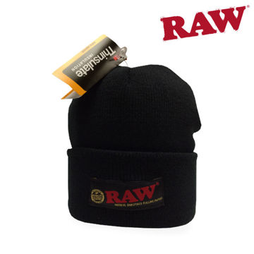 raw-thinsulate-beanie_hat-raw-beanie.jpg