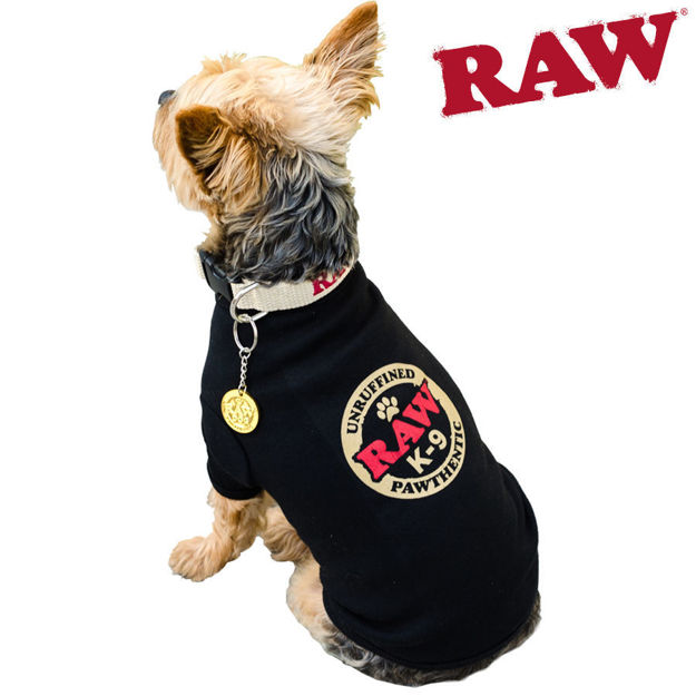 Picture of RAW PET RINGER SHIRT